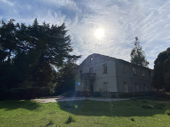 Estancia Las Vertientes – flora