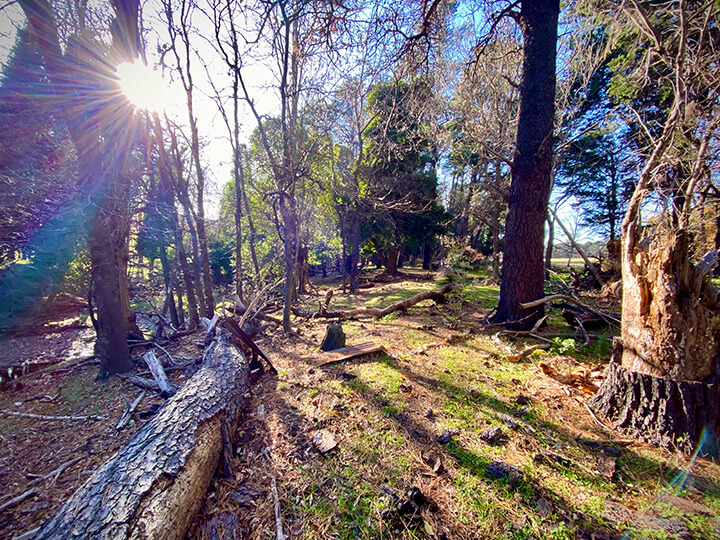 Estancia Las Vertientes – campo