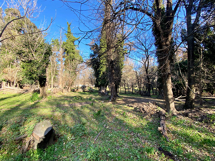 Estancia Las Vertientes – naturaleza