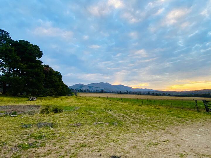 Estancia Las Vertientes – bosque